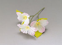 Mini flower SAKURA 20pcs